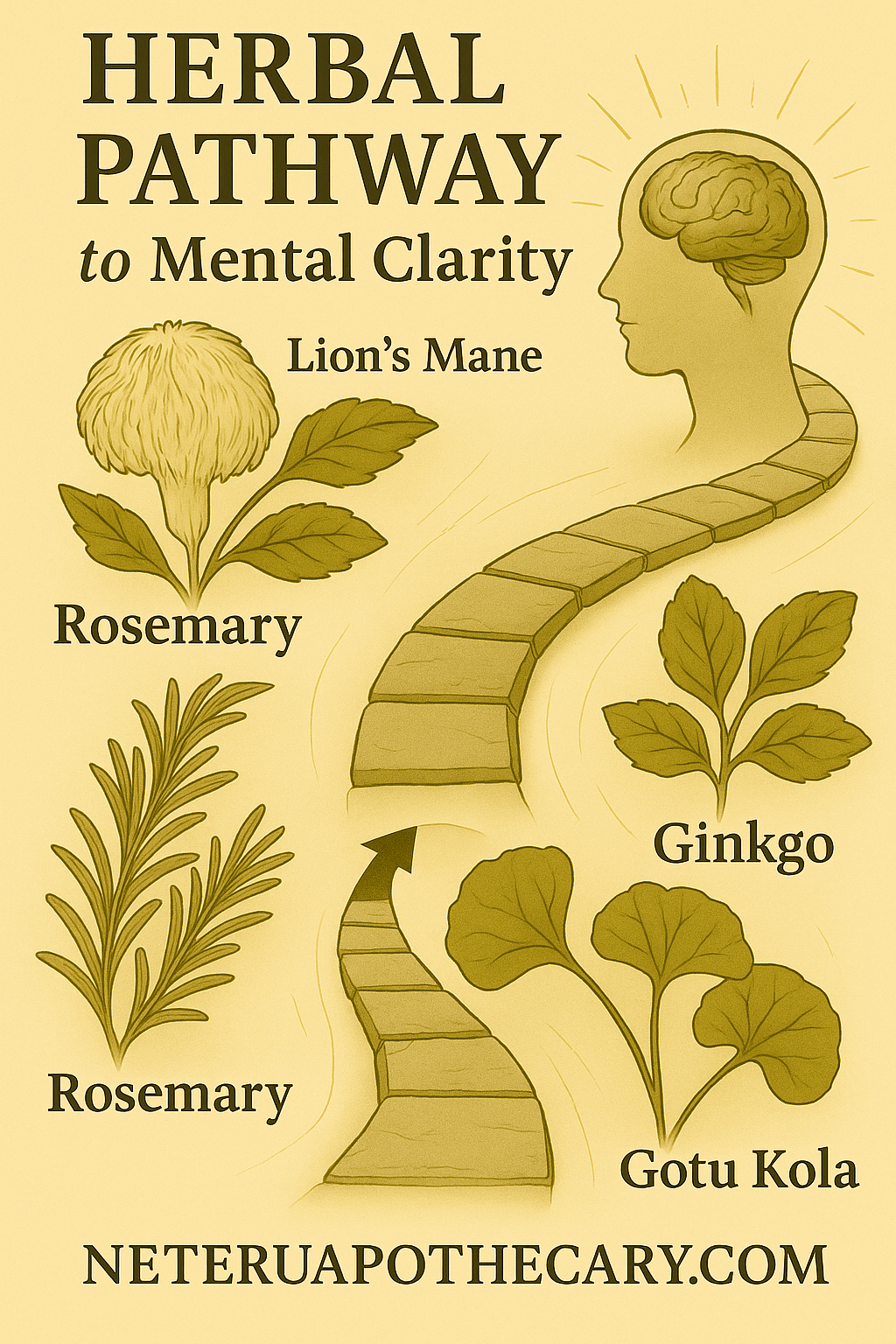 The Gut–Brain Axis: Herbal Pathways to Mental Clarity - Ministry of Neteru Apothecary