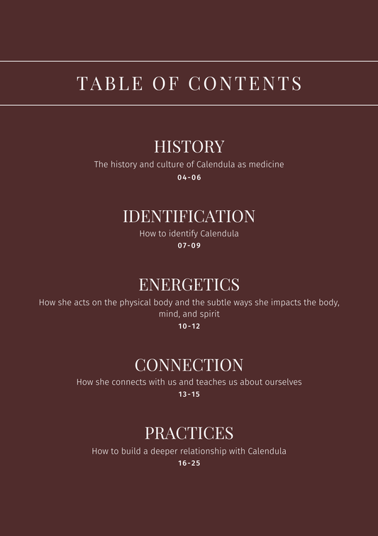 Calendula: Plant Connection Booklet (digital) - Ministry of Neteru Apothecary