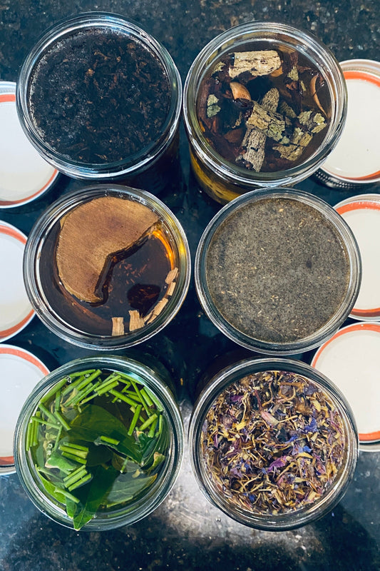 Master Plant Tincture Pre-Order - Ministry of Neteru Apothecary