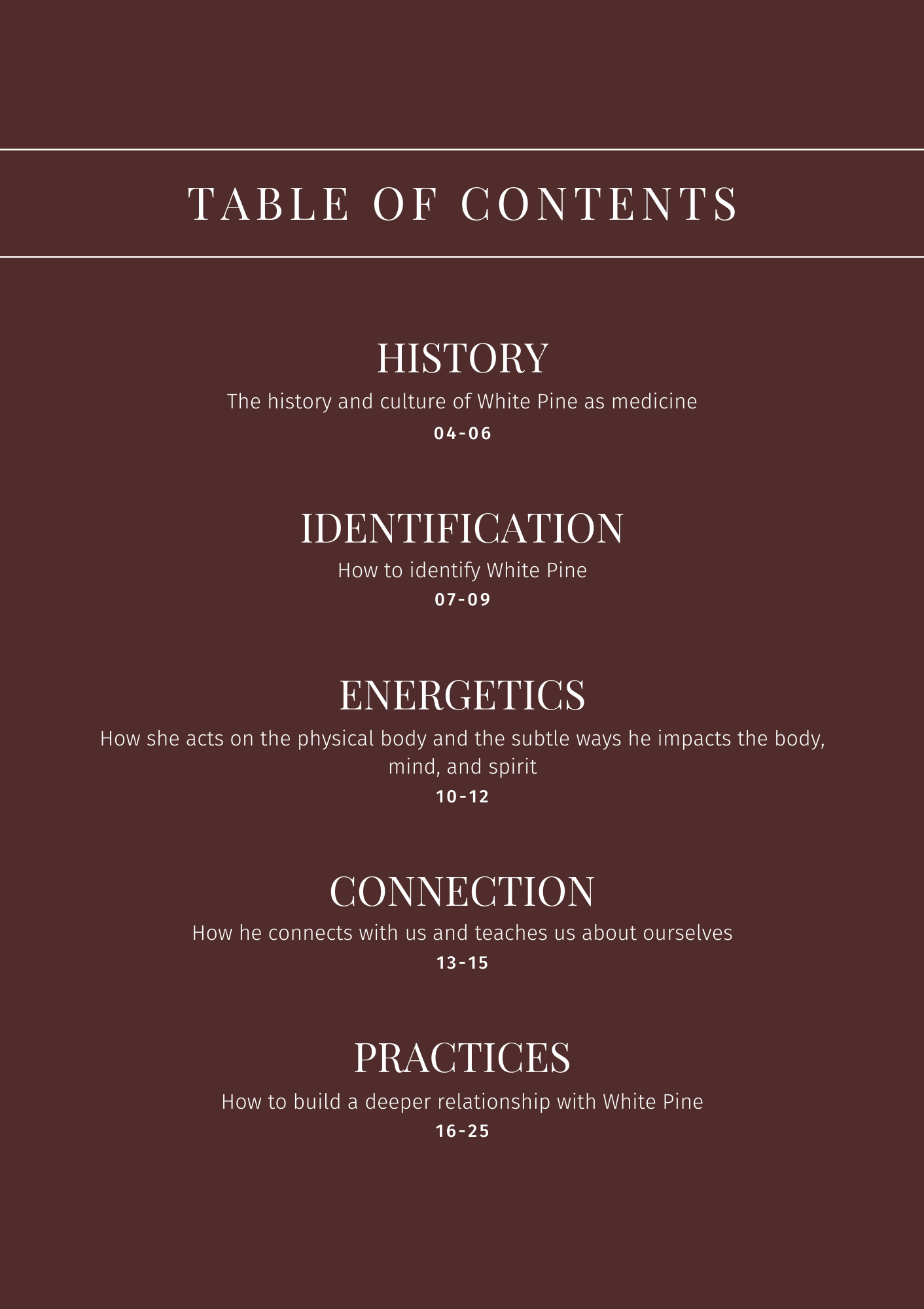 White Pine: Plant Connection Booklet (digital) - Ministry of Neteru Apothecary