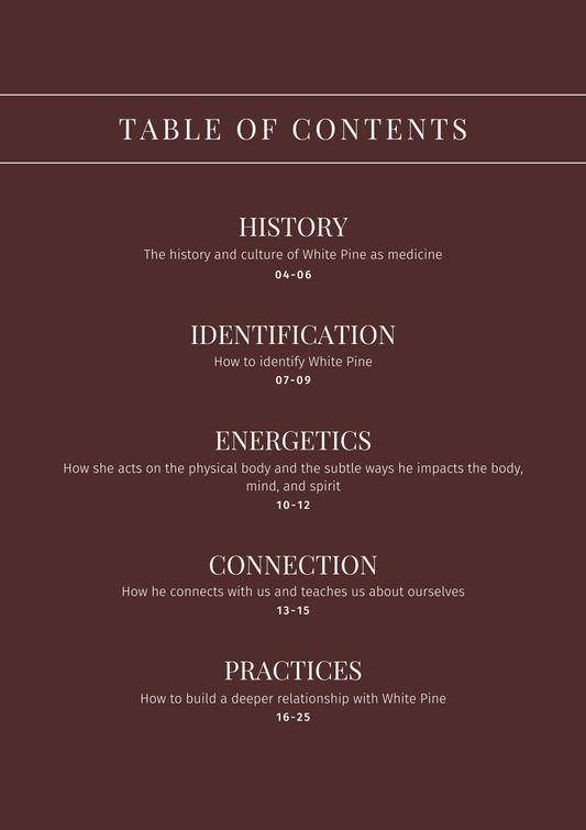 White Pine: Plant Connection Booklet (digital) - Ministry of Neteru Apothecary