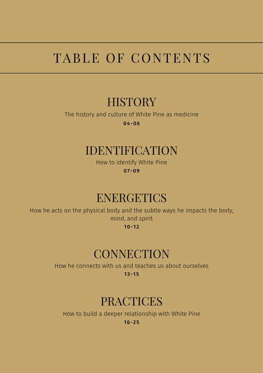 White Pine: Sacred Herbalism Booklet (digital) - Ministry of Neteru Apothecary