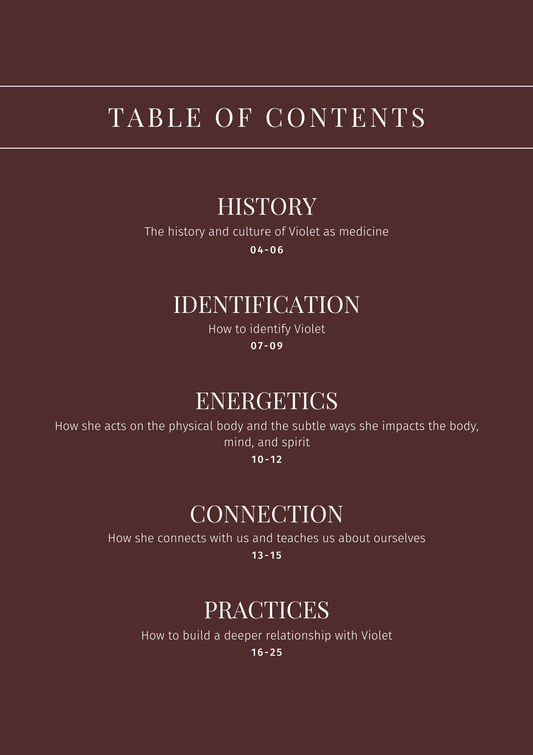 Wild Violet: Plant Connection Booklet (digital) - Ministry of Neteru Apothecary