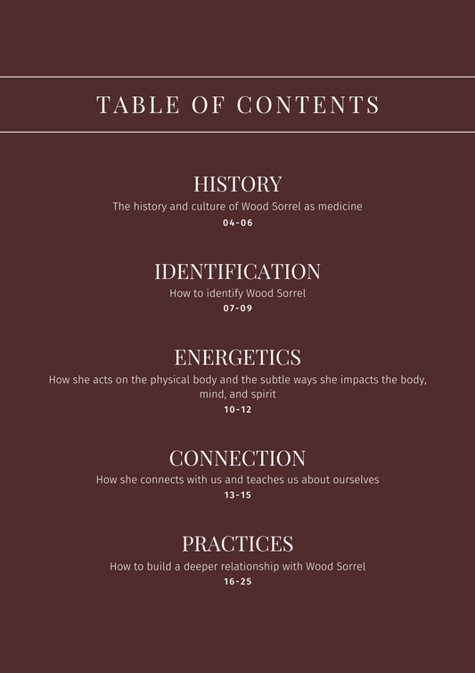 Wood Sorrel: Plant Connection Booklet (digital) - Ministry of Neteru Apothecary
