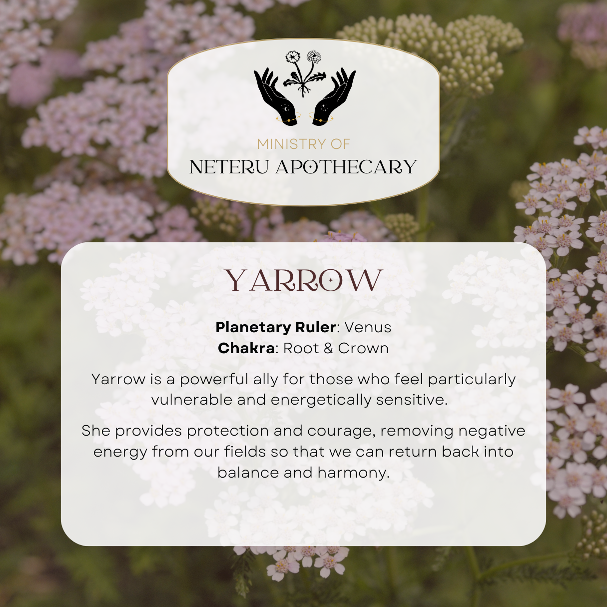 Flower Essences