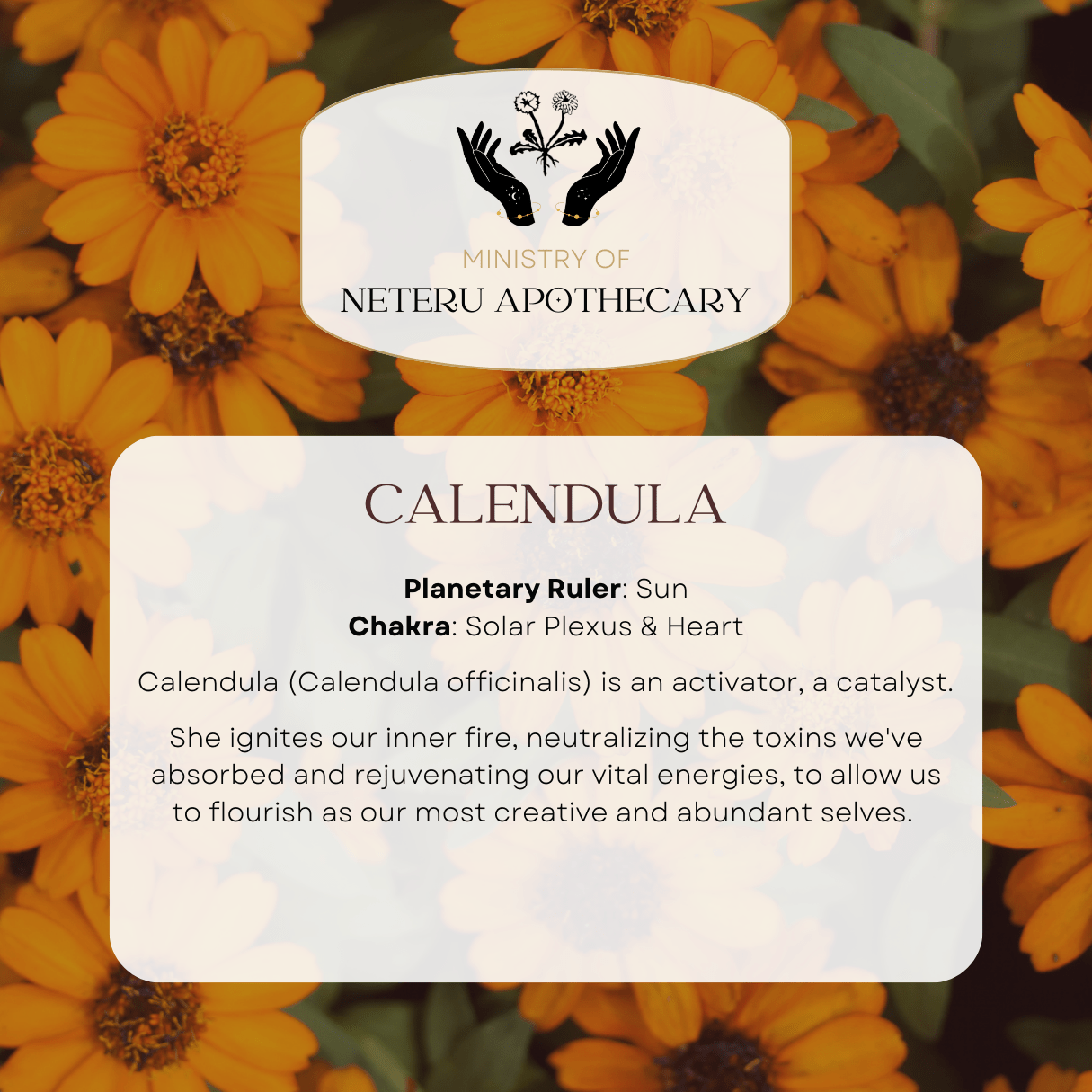 Flower Essences - Ministry of Neteru Apothecary