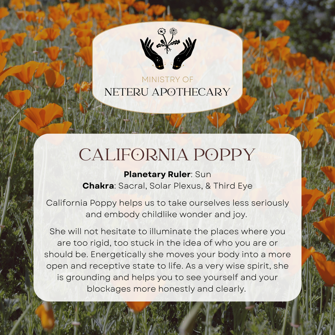 Flower Essences - Ministry of Neteru Apothecary