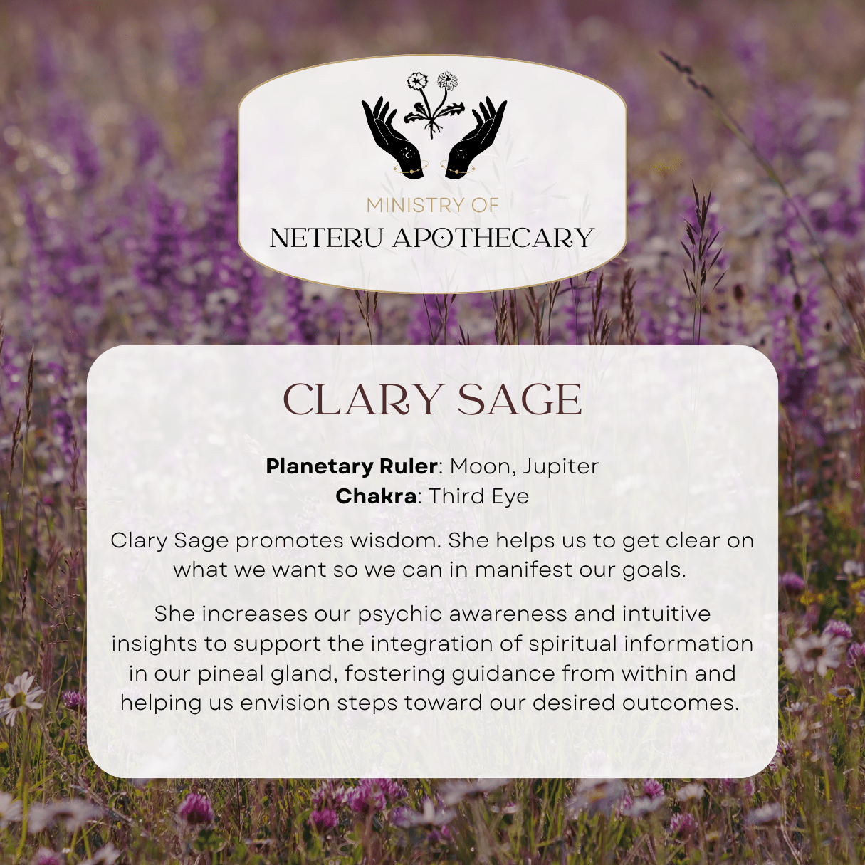Flower Essences - Ministry of Neteru Apothecary