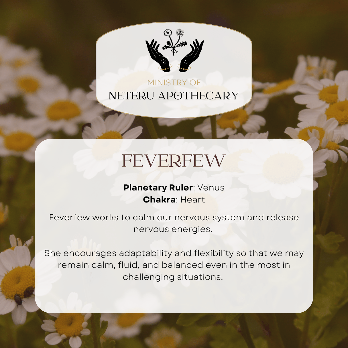 Flower Essences - Ministry of Neteru Apothecary