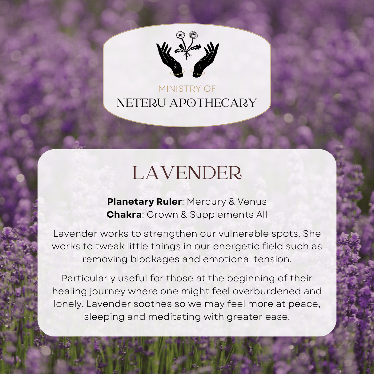 Flower Essences - Ministry of Neteru Apothecary
