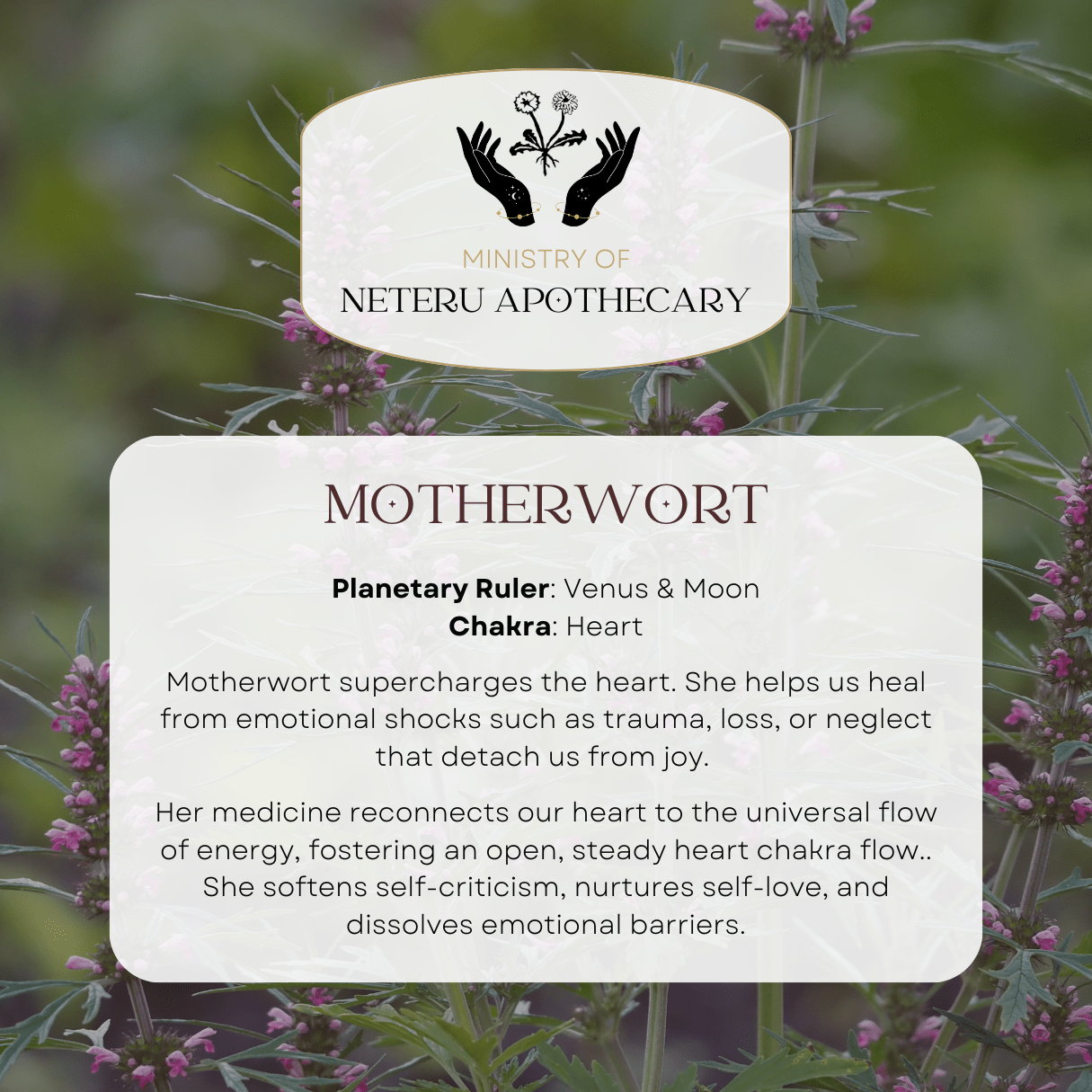 Flower Essences - Ministry of Neteru Apothecary