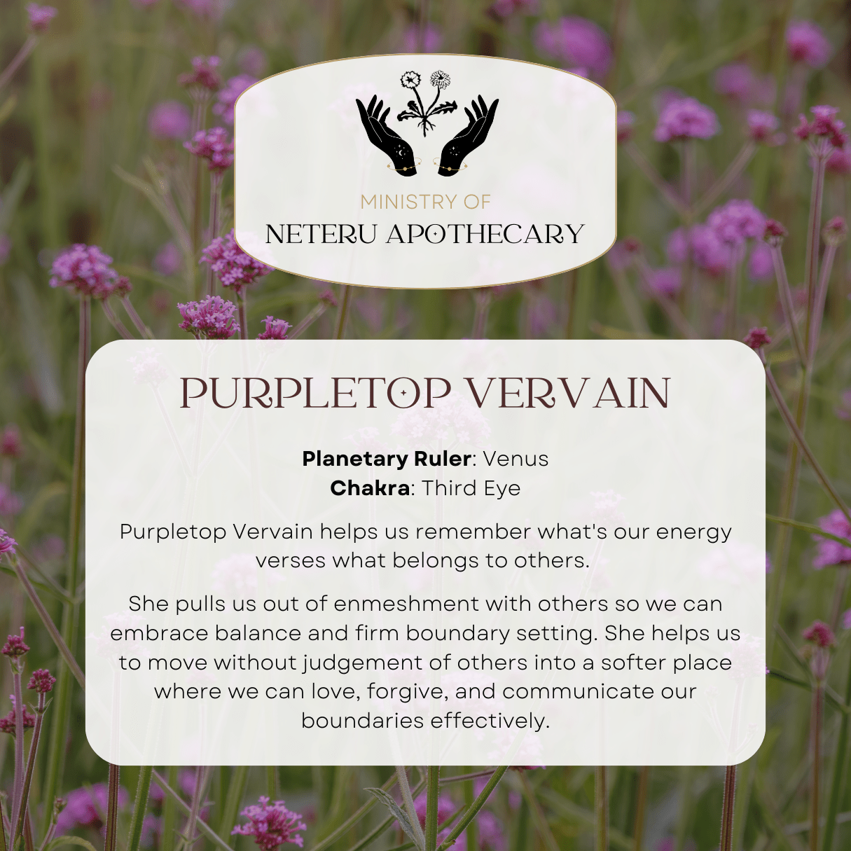 Flower Essences - Ministry of Neteru Apothecary