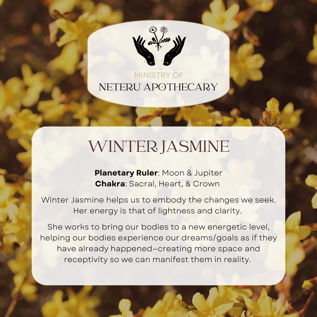 Flower Essences - Ministry of Neteru Apothecary