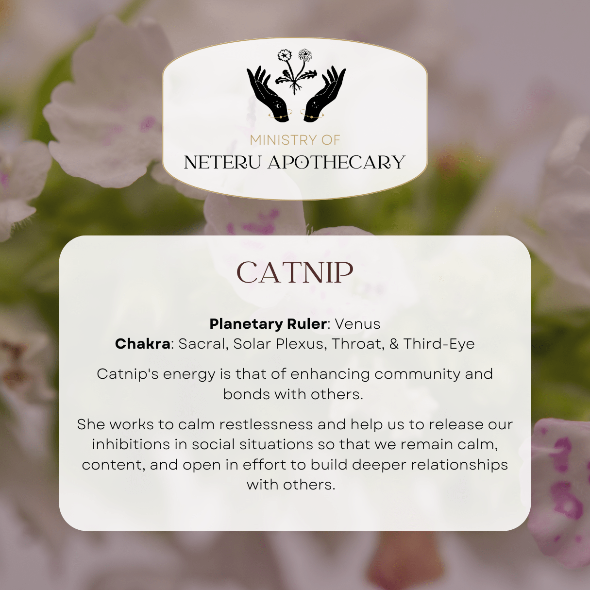 Flower Essences - Ministry of Neteru Apothecary