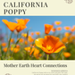 California Poppy: Sacred Herbalism Booklet (digital)