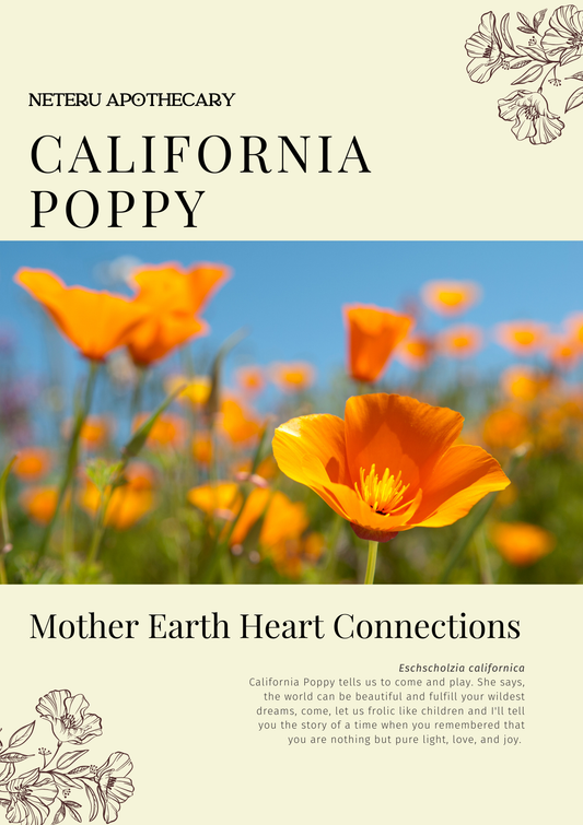 California Poppy: Sacred Herbalism Booklet (digital)