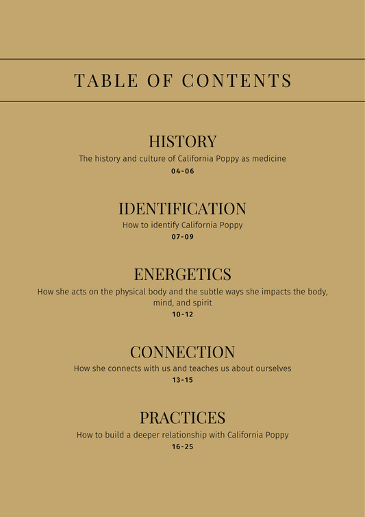 California Poppy: Sacred Herbalism Booklet (digital)