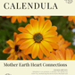 Calendula: Sacred Herbalism Booklet (digital) - Ministry of Neteru Apothecary
