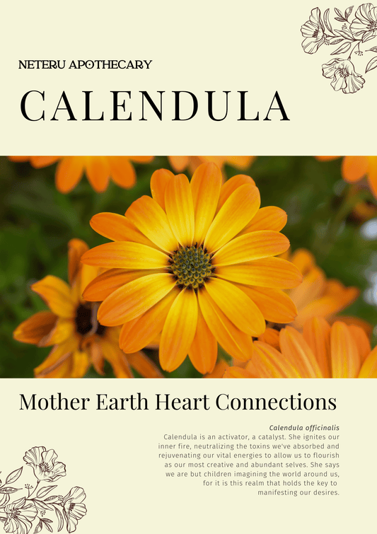 Calendula: Sacred Herbalism Booklet (digital) - Ministry of Neteru Apothecary