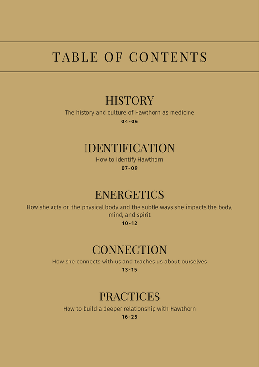 Hawthorn: Sacred Herbalism Booklet (digital) - Ministry of Neteru Apothecary
