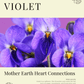 Violet: Sacred Herbalism Booklet (digital) - Ministry of Neteru Apothecary