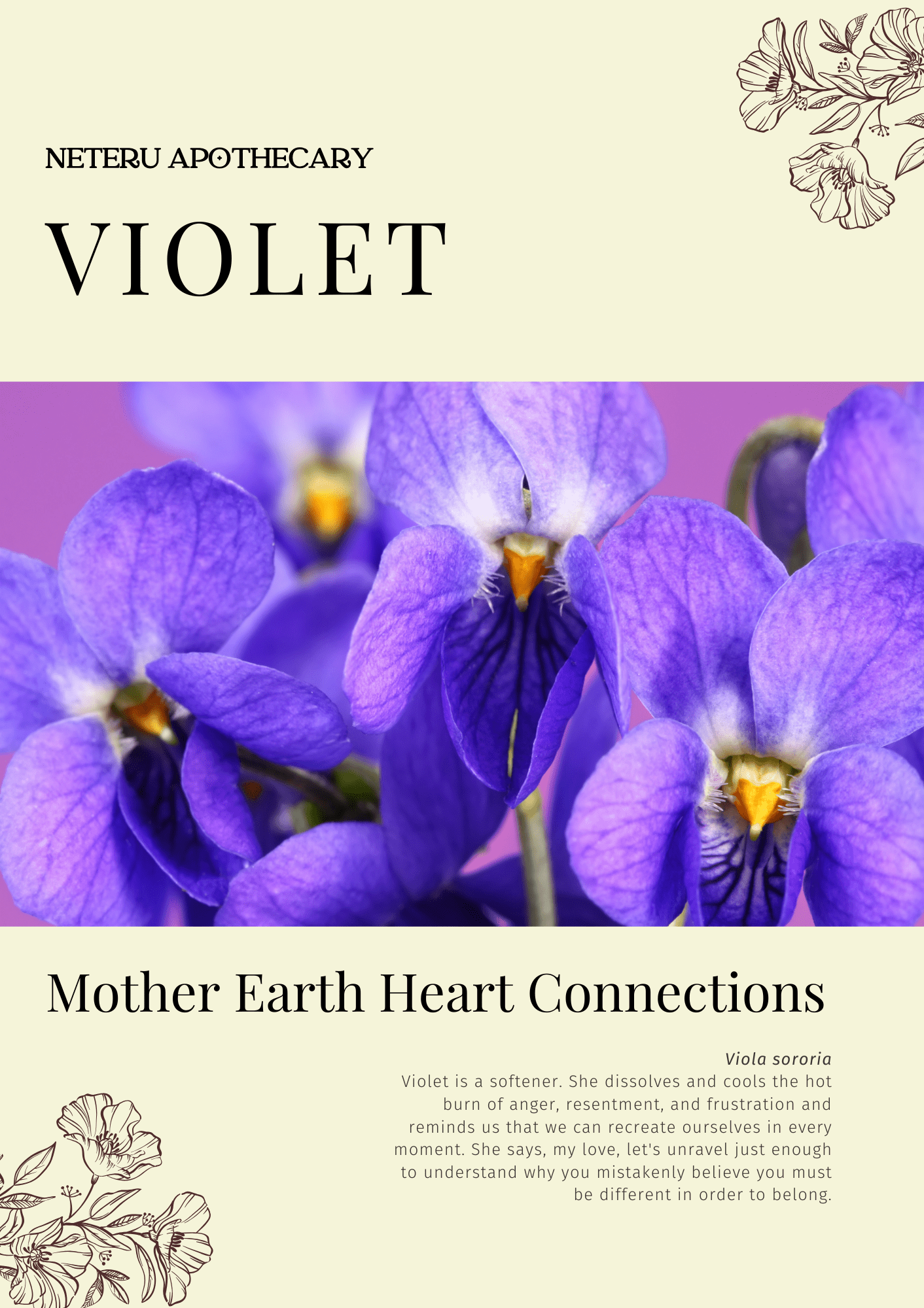 Violet: Sacred Herbalism Booklet (digital) - Ministry of Neteru Apothecary