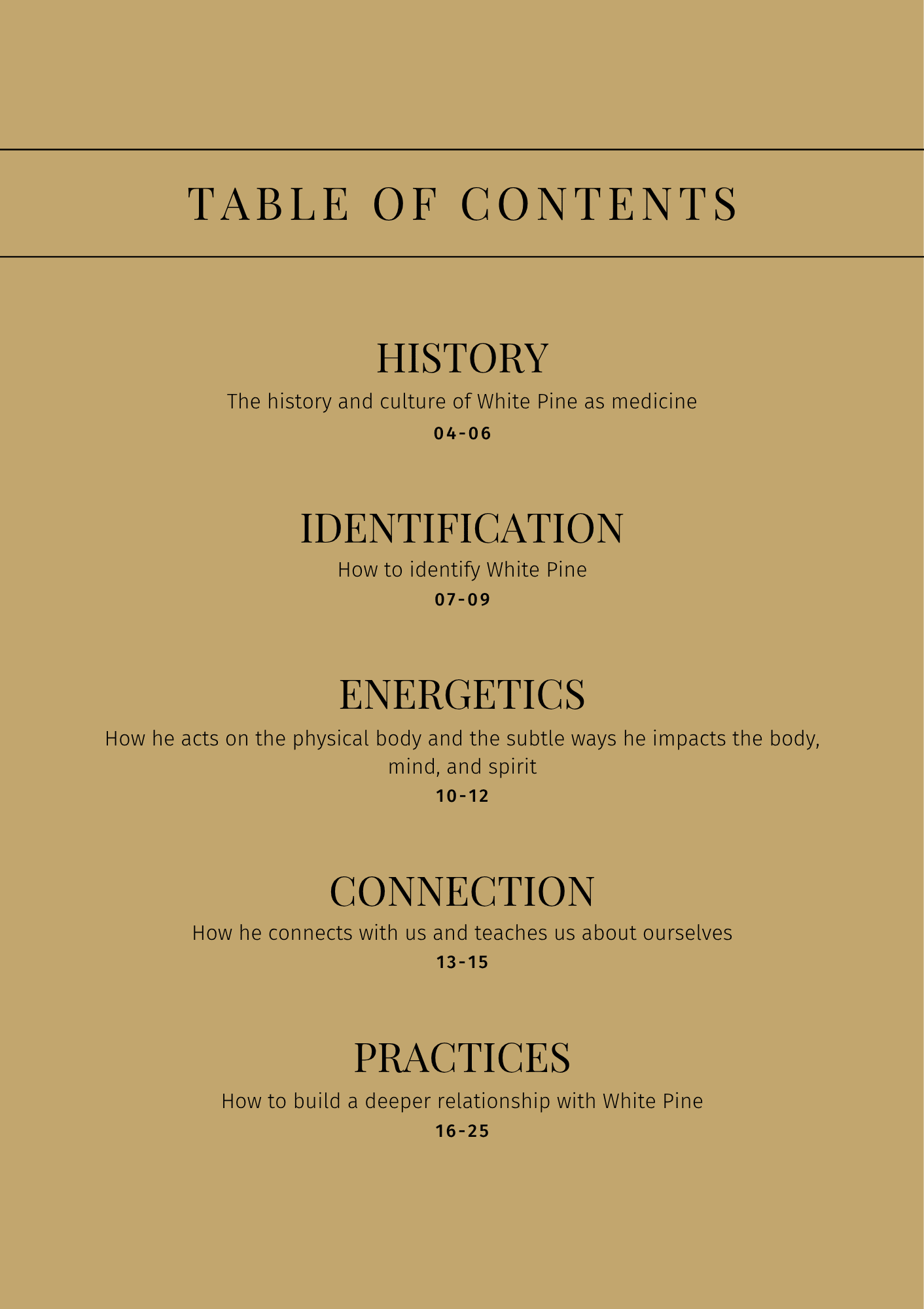White Pine: Sacred Herbalism Booklet (digital) - Ministry of Neteru Apothecary