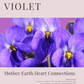 Wild Violet: Plant Connection Booklet (digital) - Ministry of Neteru Apothecary