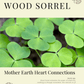 Wood Sorrel: Sacred Herbalism Booklet (digital) - Ministry of Neteru Apothecary