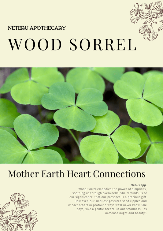 Wood Sorrel: Sacred Herbalism Booklet (digital) - Ministry of Neteru Apothecary