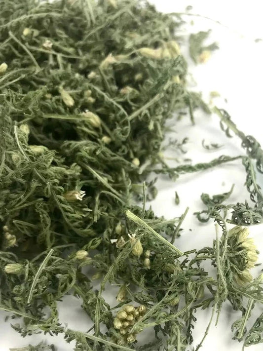 Yarrow Leaf/Flower Organic - Ministry of Neteru Apothecary