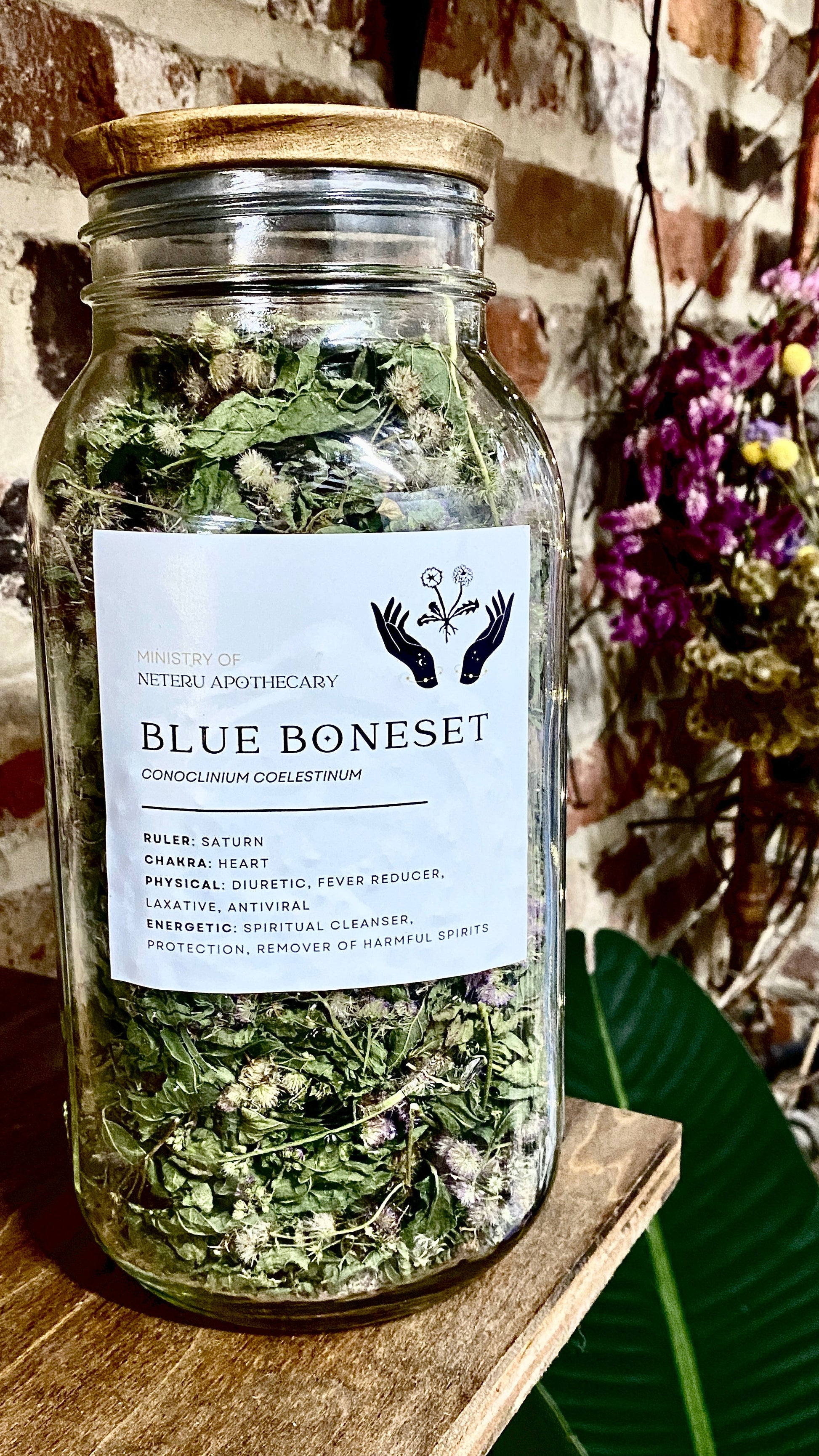 Blue Boneset Leaf/Flower Organic - Ministry of Neteru Apothecary
