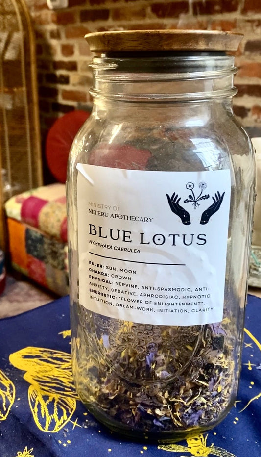 Blue Lotus Flower Organic - Ministry of Neteru Apothecary