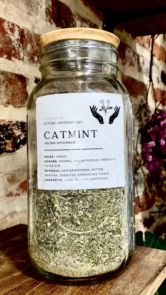 Catmint Leaf/Flower Organic - Ministry of Neteru Apothecary