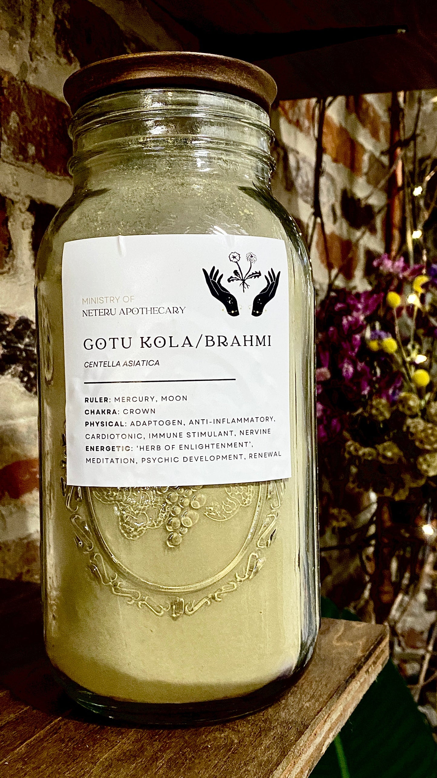 Gotu Kola/Brahmi Root Organic - Ministry of Neteru Apothecary