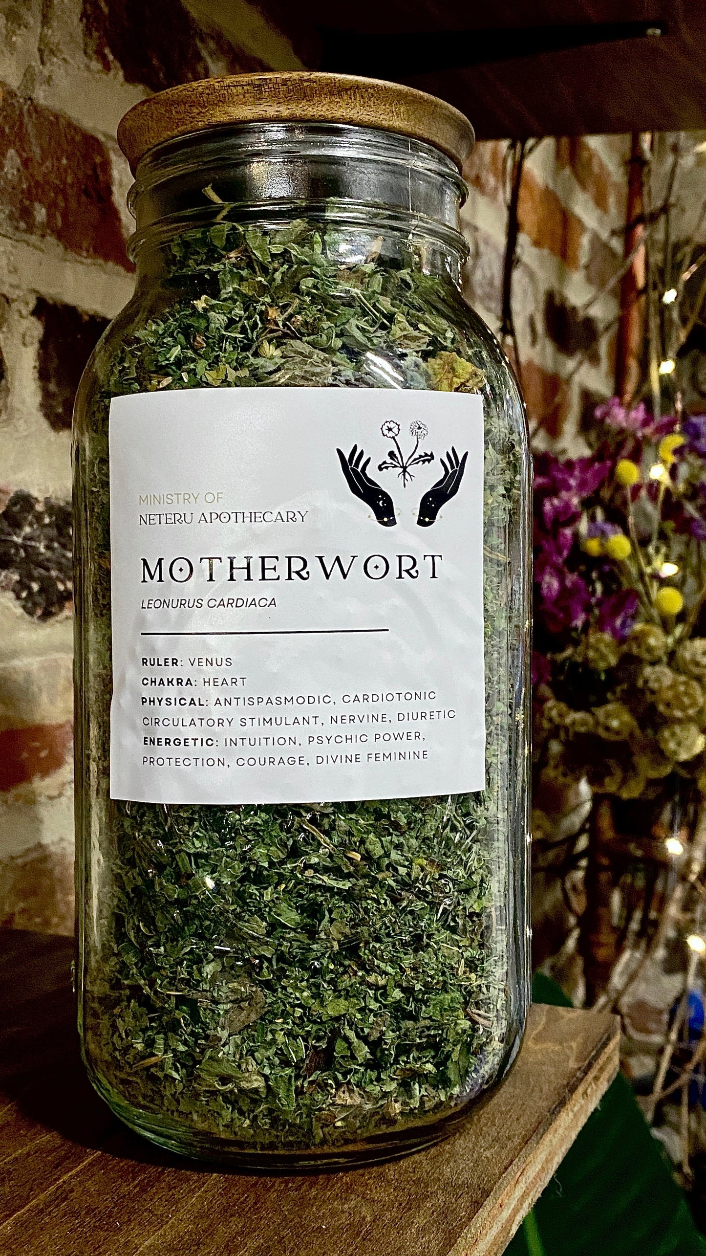 Motherwort Leaf Organic - Ministry of Neteru Apothecary
