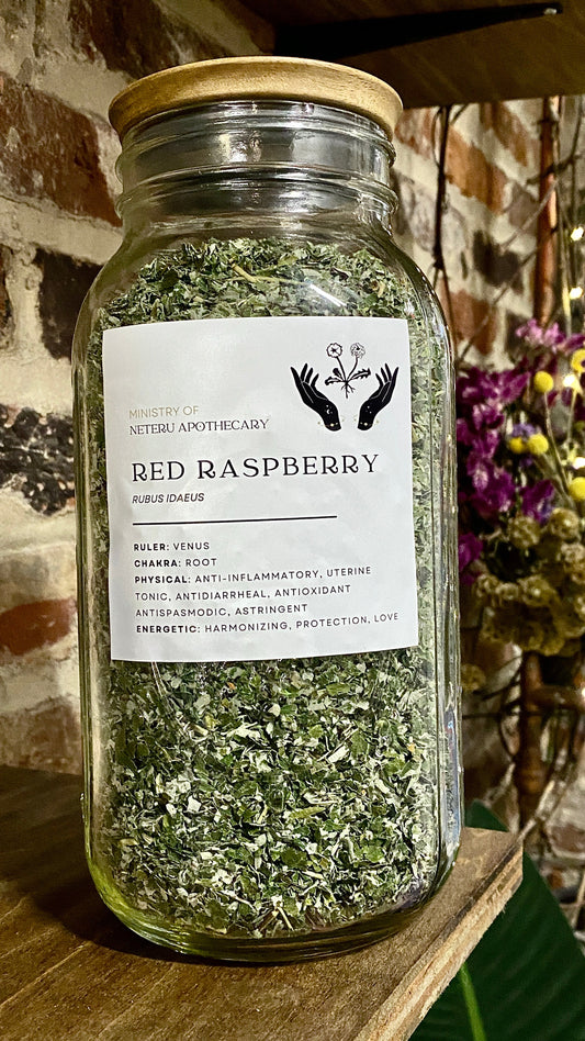 Red Raspberry Leaf Organic - Ministry of Neteru Apothecary