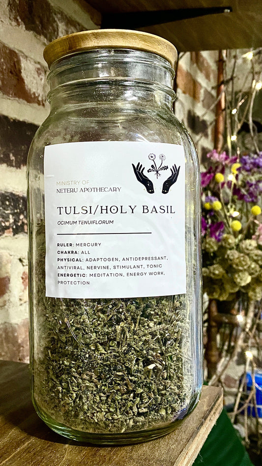 Tulsi/Holy Basil Leaf/Flower Organic - Ministry of Neteru Apothecary