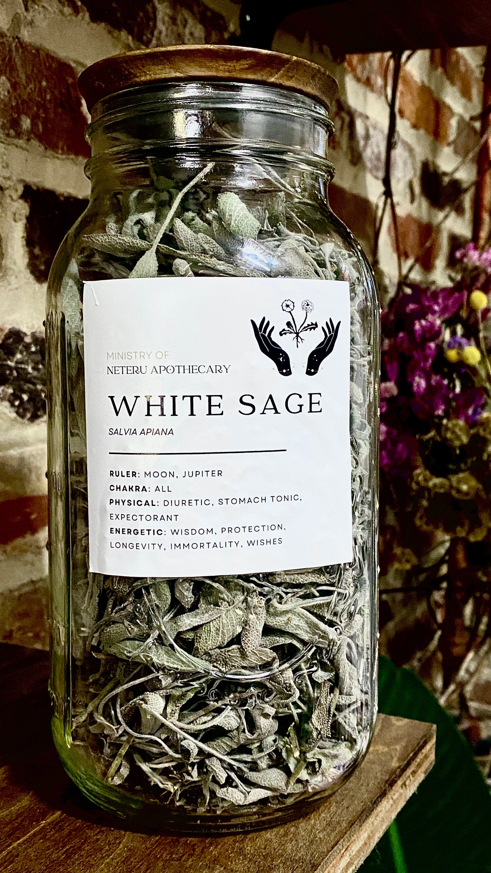 White Sage Leaf Organic - Ministry of Neteru Apothecary