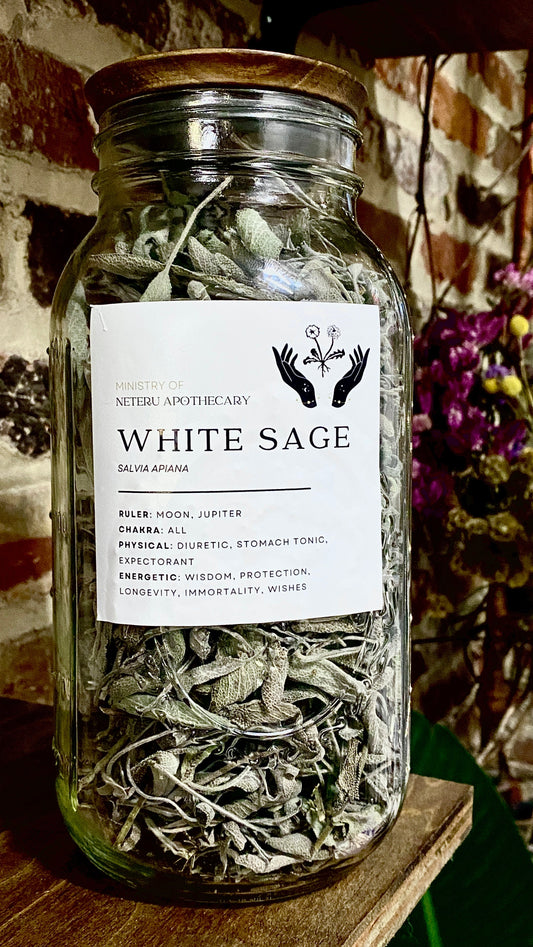 White Sage Leaf Organic - Ministry of Neteru Apothecary